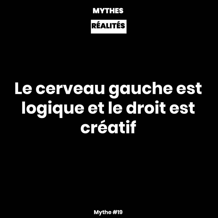 cover art for Mythe #19 — Le cerveau gauche est logique et le droit est créatif