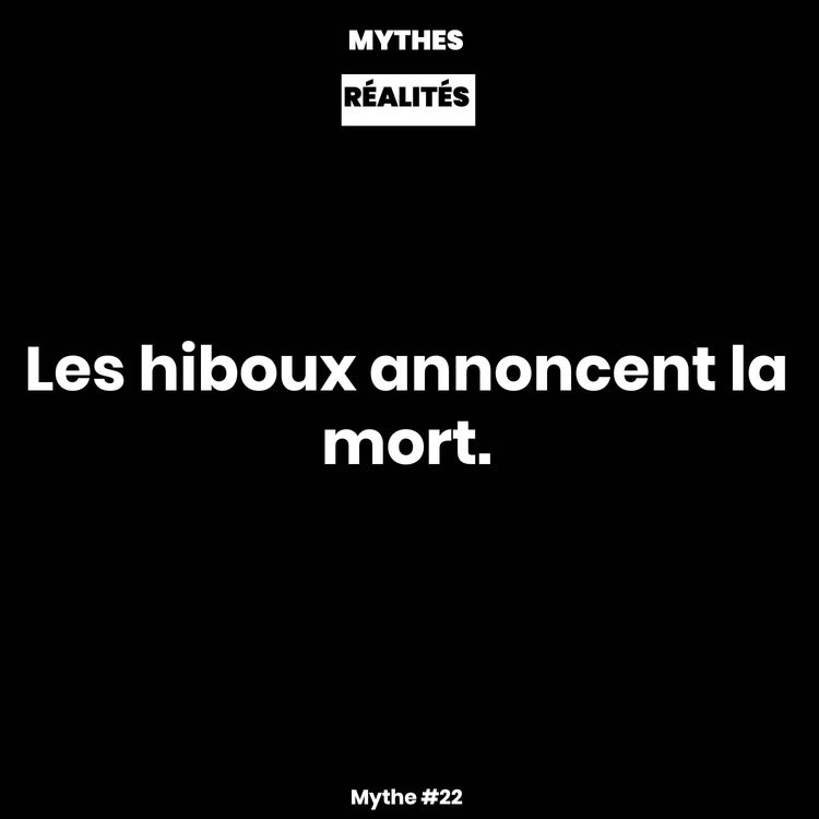 cover art for Mythe #22 — Les hiboux annoncent la mort