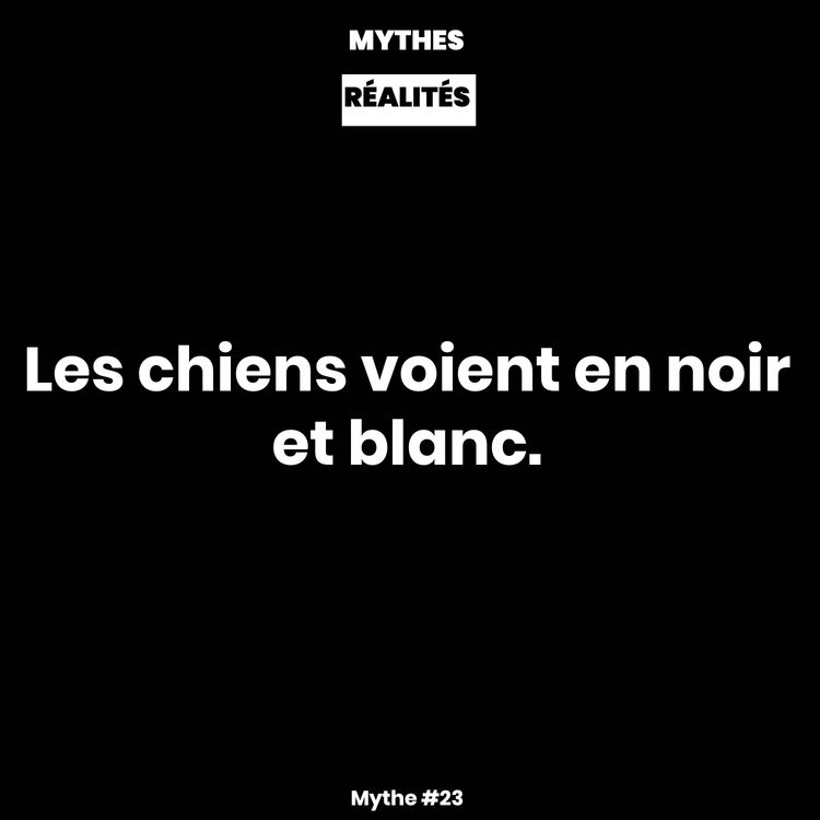 cover art for Mythe #23 — Les chiens voient en noir et blanc