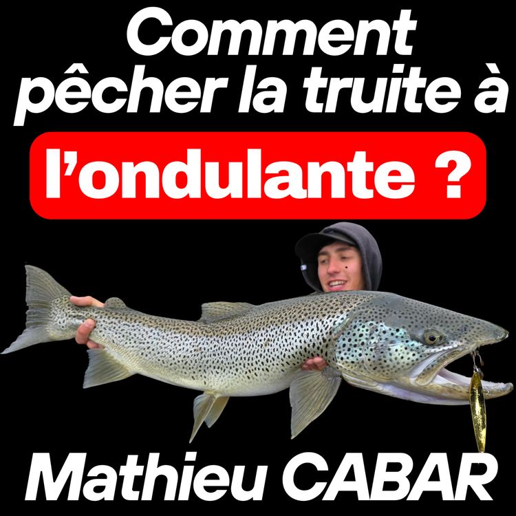 cover art for Comment pêcher la truite à l'ondulante ?