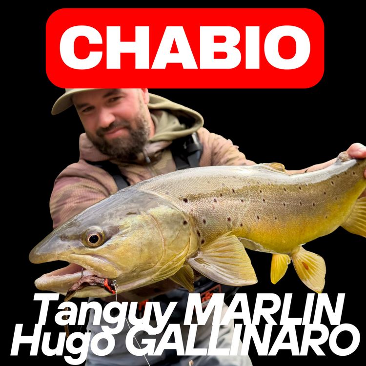 cover art for CHABIO Zn Sakura : Tanguy MARLIN & Hugo GALLINARO