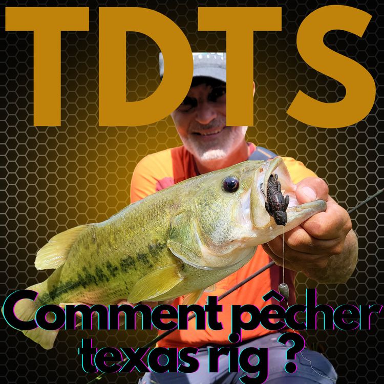 cover art for Comment pêcher Texas RIG ? Gérard SPOSITO