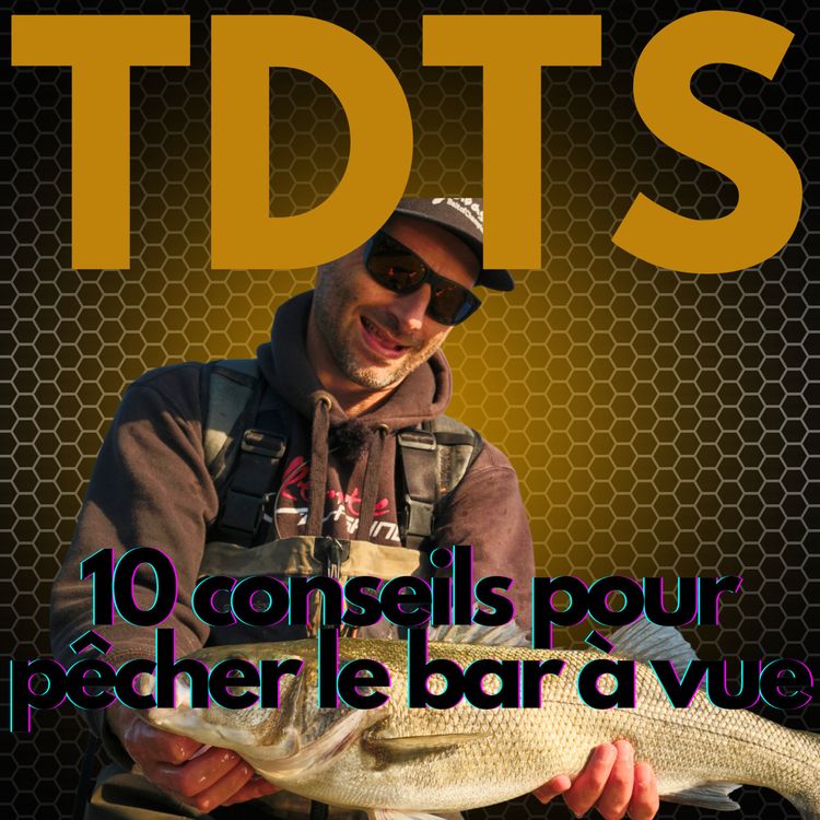 cover art for 10 conseils pour pêcher le bar à vue avec Nicolas CADIOU