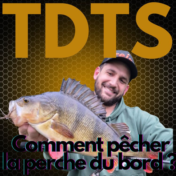 cover art for Comment pêcher la perche du bord ? (Avec Tom BONTEMPELLI)