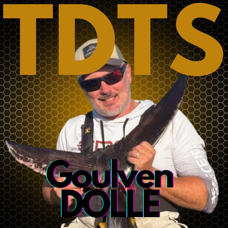 cover art for Goulven DOLLE
