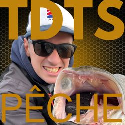 cover art for Tous des Tom Sawyer