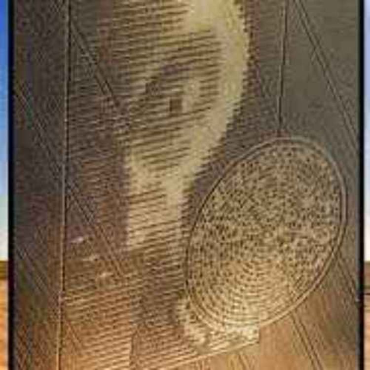 cover art for Crop Circles, Crop Field Circles
