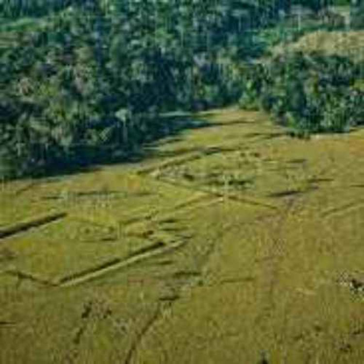 cover art for Civilizations in the Amazon Rainforest