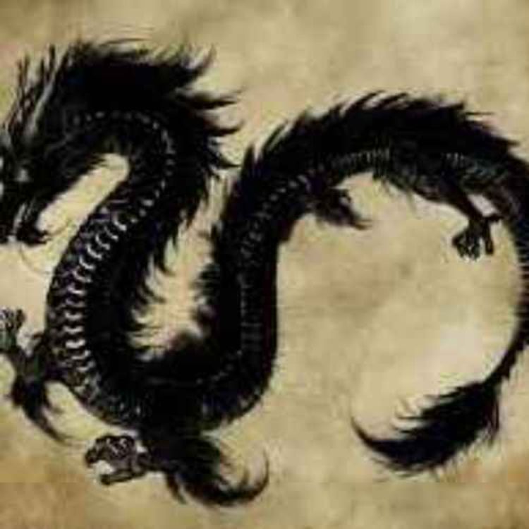 cover art for Dragons