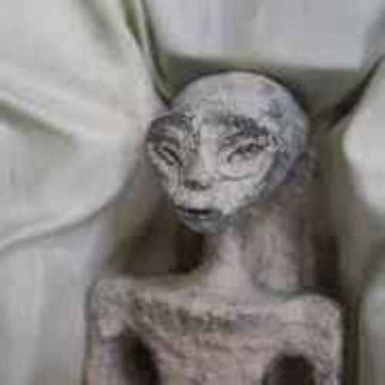 cover art for Different Types of Extraterrestrial Beings