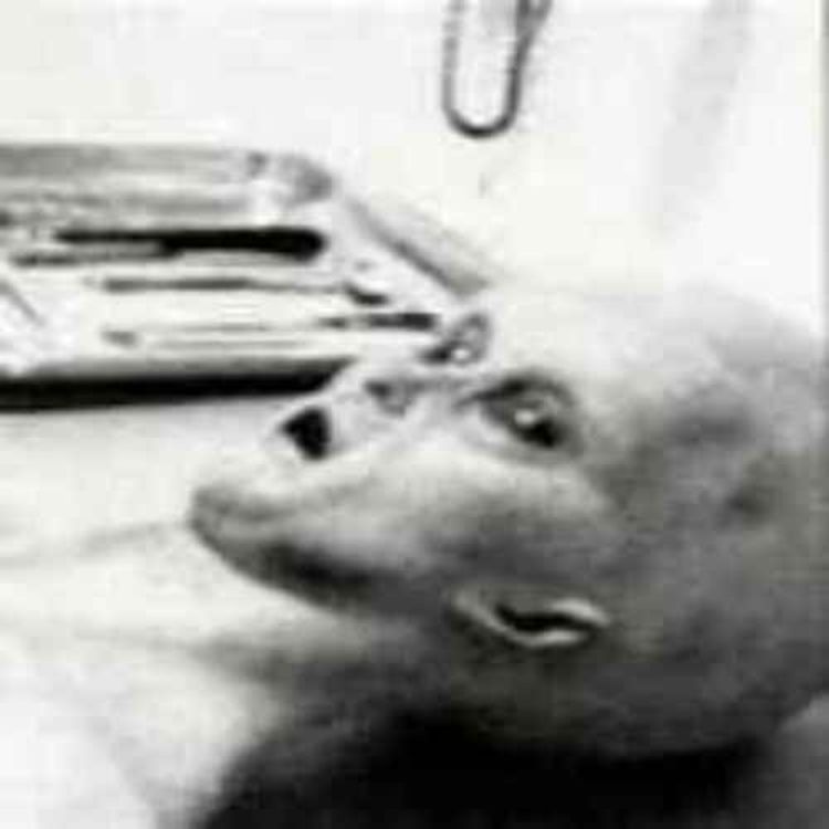 cover art for Area 51 – Bob Lazar