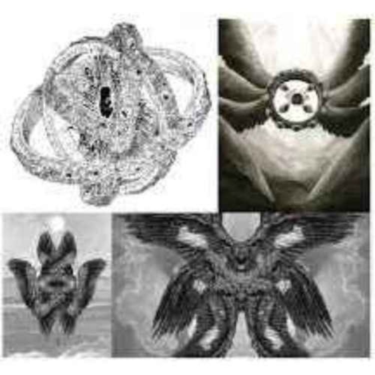 cover art for Angels – What Do They Look Like According to the Bible?
