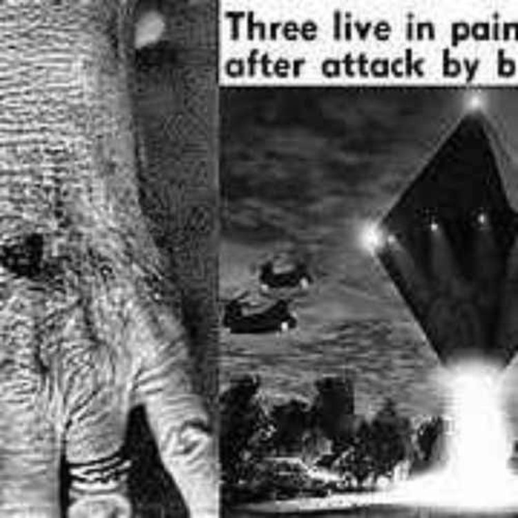 cover art for The Cash-Landrum Incident – Witnesses Suffered Radiation Injuries