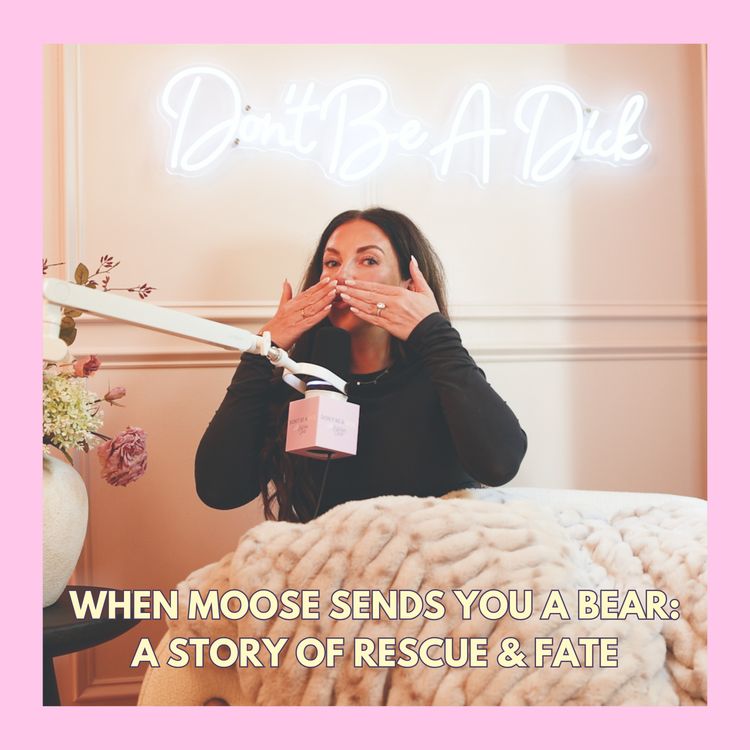 cover art for When Moose sends you a Bear: a story of rescue & fate