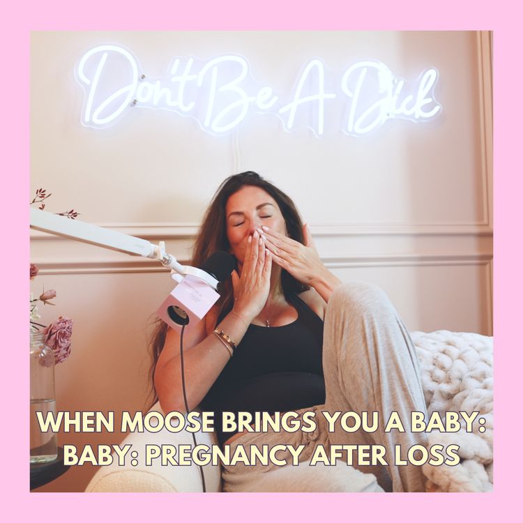 cover art for When Moose brings you a baby: pregnancy after loss