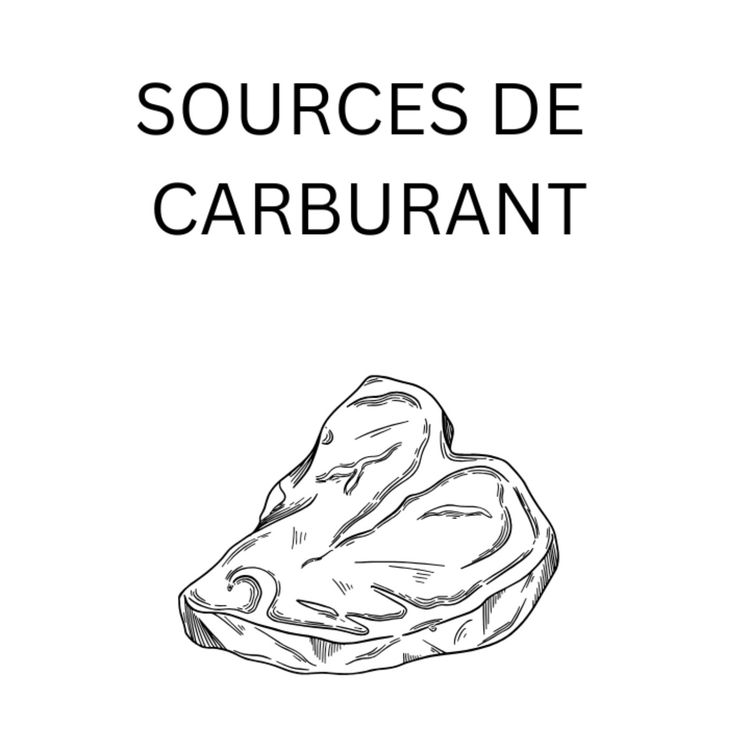cover art for Les Différentes Sources De Carburant