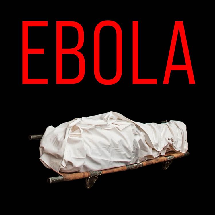 cover art for Ebolaepidemin i Västafrika