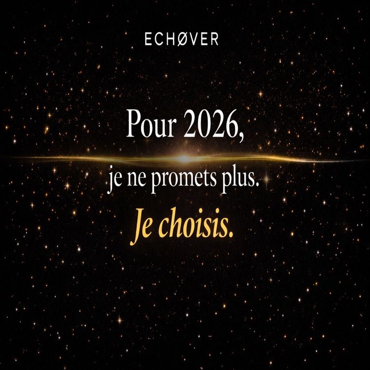 cover art for Je ne promet plus je choisis.