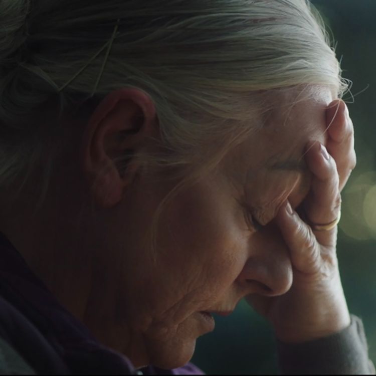 cover art for Presents: Dave Byrne, Director of 'Sunphlowers'