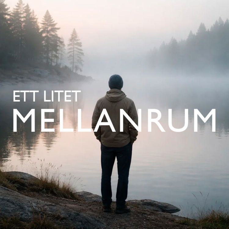 cover art for ◯ Susokukan – att räkna andetagen
