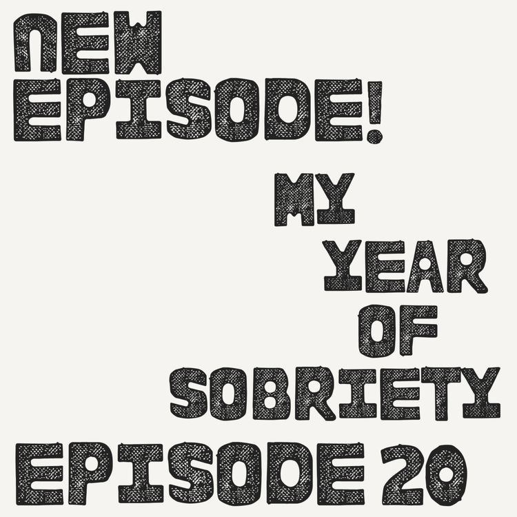cover art for My Year of Sobriety