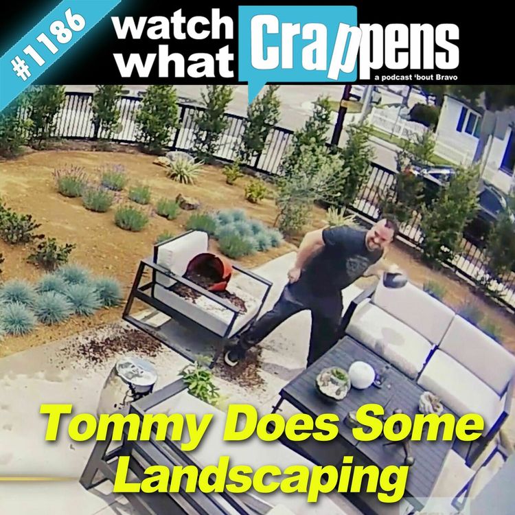 cover art for Shahs: Tommy Does Some Landscaping