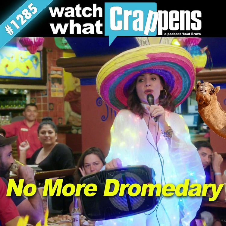 cover art for RHONY: No More Dromedary