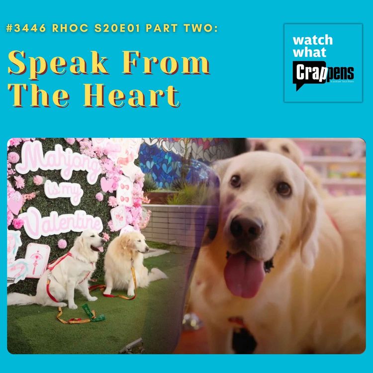 cover art for #3446 RHOC S20E01 Part Two: Speak From The Heart
