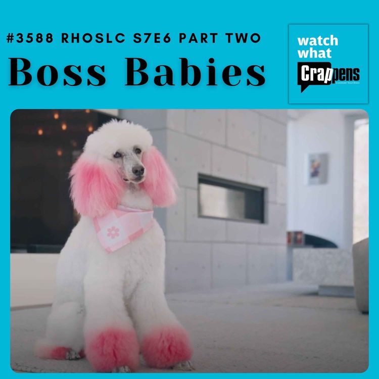 cover art for #3588 RHOSLC S7E6 Part Two: Boss Babies
