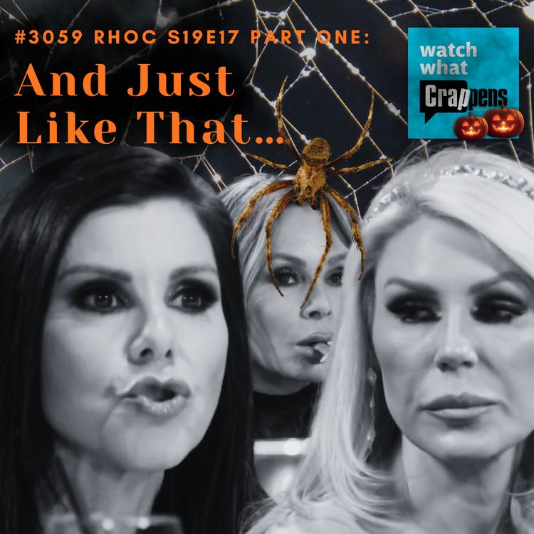 cover art for #3059 RHOC S19E17 Part One: And Just Like That…