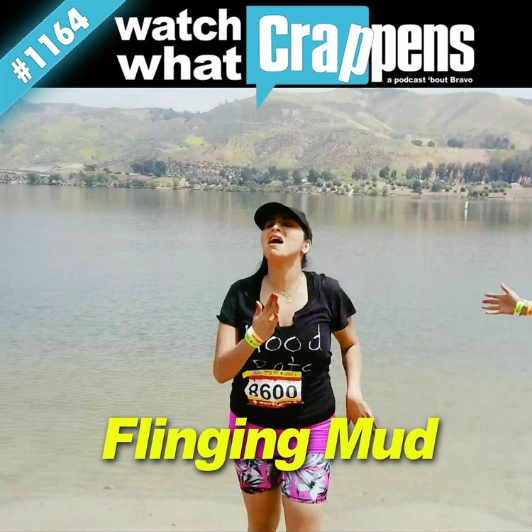 cover art for Shahs: Flinging Mud