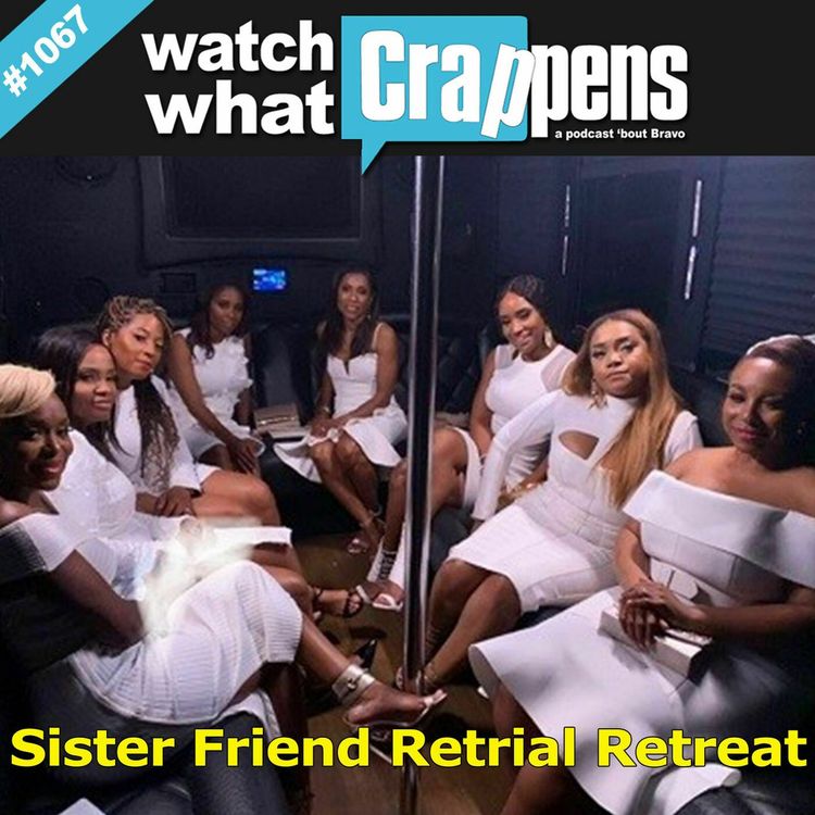 cover art for Married2Med: Sister Friend Retrial Retreat
