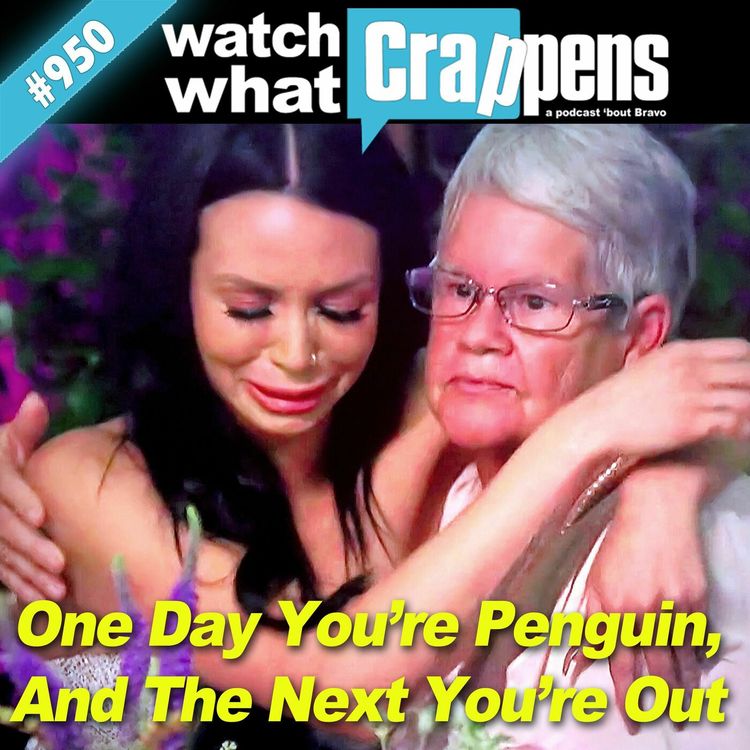 cover art for PumpRules: One Day You're Penguin, And The Next You're Out
