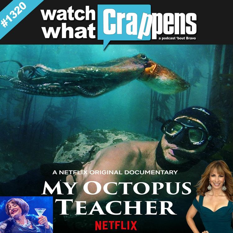 cover art for Netflix' My Octopus Teacher