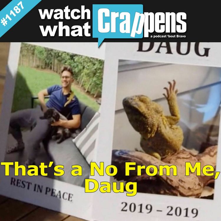 cover art for PumpRules: That's a No From Me, Daug