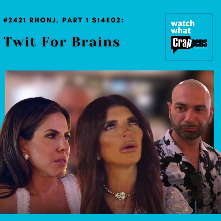 cover art for #2421 RHONJ, Part 1 S14E02: Twit For Brains