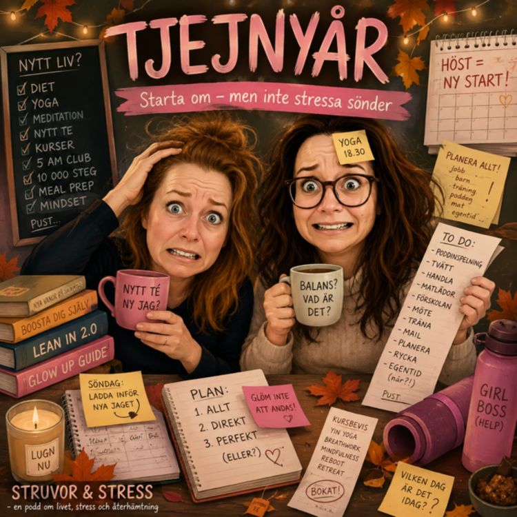 cover art for 29. Gott nytt Tjejnyår!