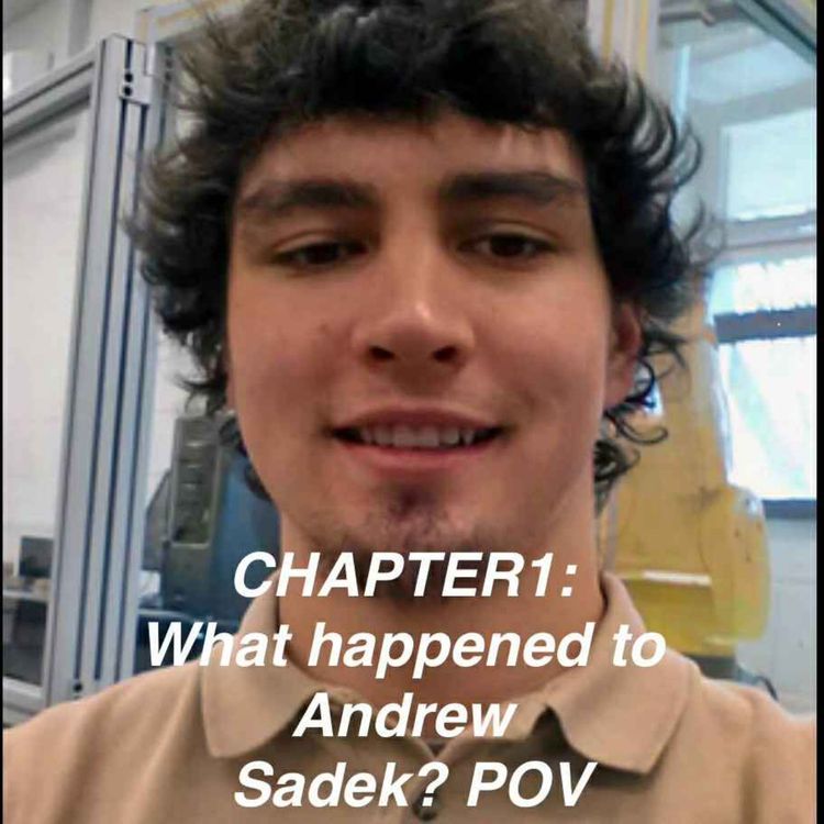 cover art for What happened to Andrew Sadek? POV