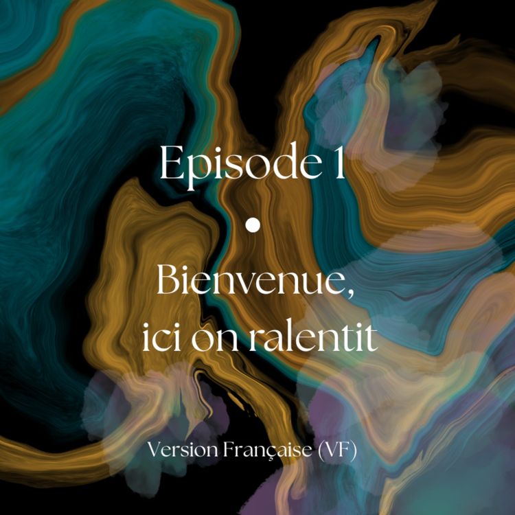 cover art for - 🇫🇷 VF - Episode #1 - Bienvenue, ici on ralentit