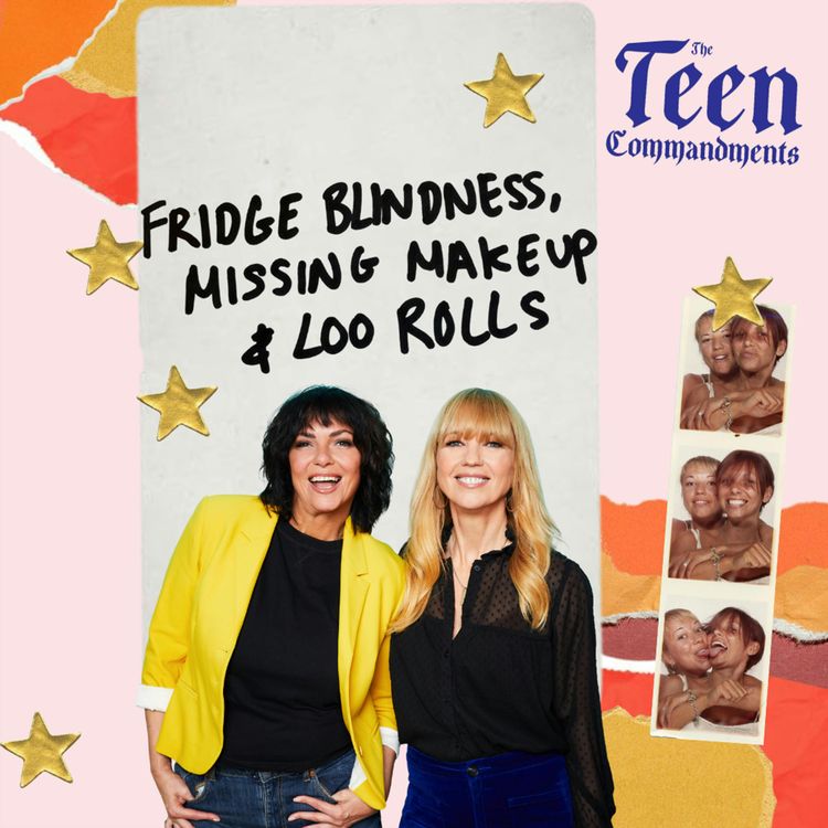 cover art for Fridge Blindness, Missing  Makeup & Rogue Loo Rolls
