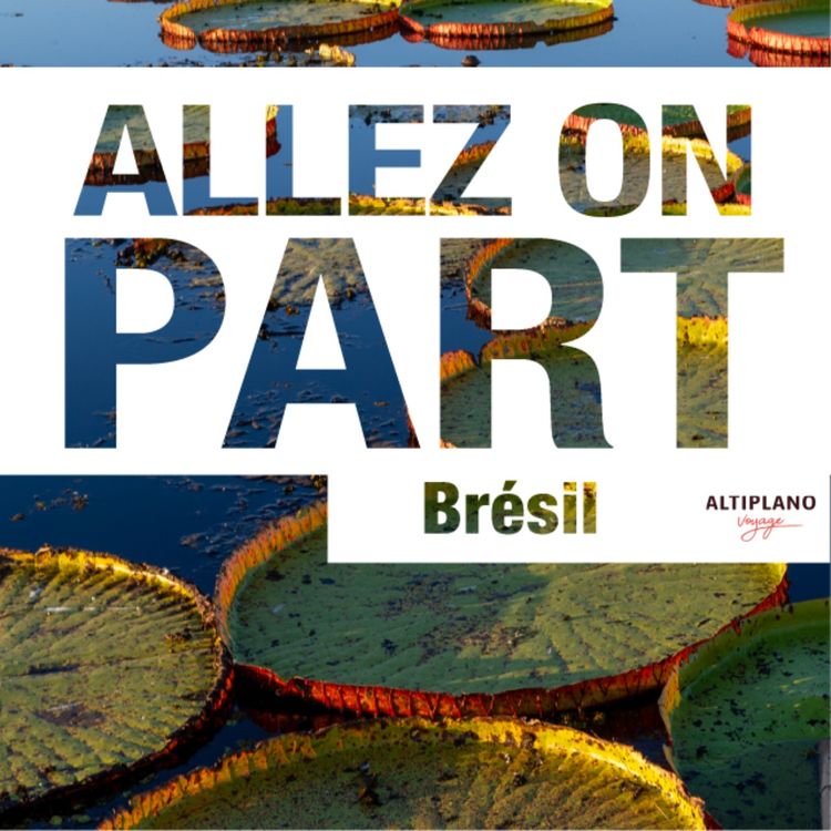 cover art for Pantanal, joyau naturel du Brésil   