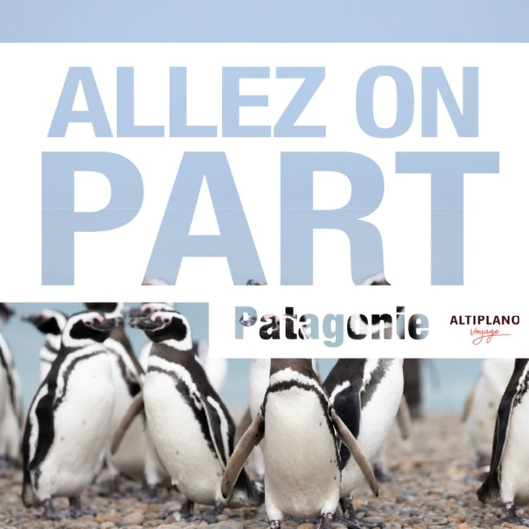 cover art for Croisière dans les canaux de Patagonie