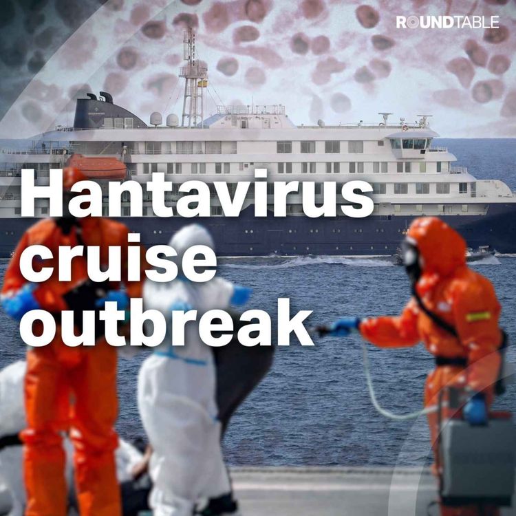 cover art for Could the Hantavirus become the next pandemic?