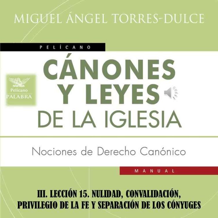 cover art for III. LECCIÓN 15. NULIDAD, CONVALIDACIÓN, PRIVILEGIO DE LA FE Y SEPARACIÓN DE LOS CÓNYUGES