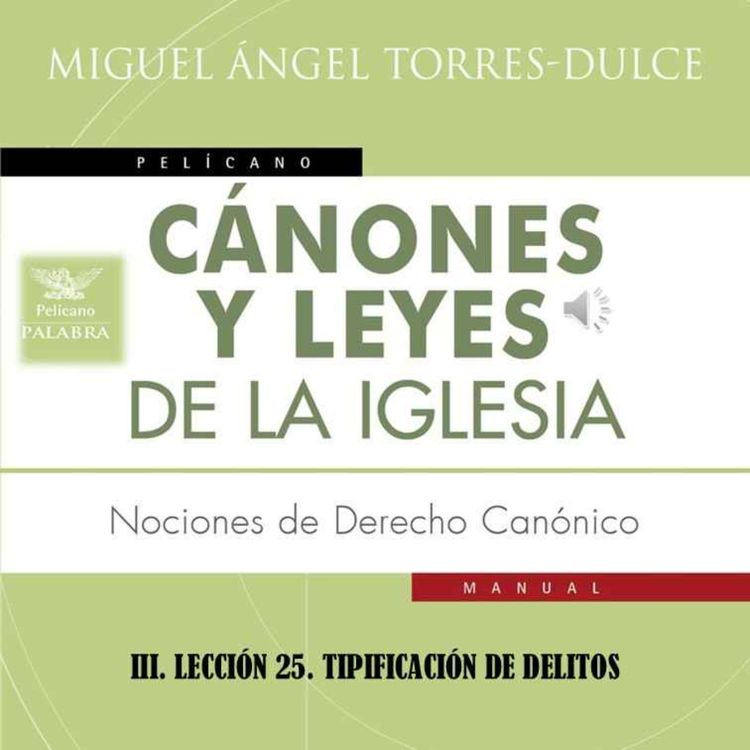 cover art for III. LECCIÓN 25. TIPIFICACIÓN DE DELITOS