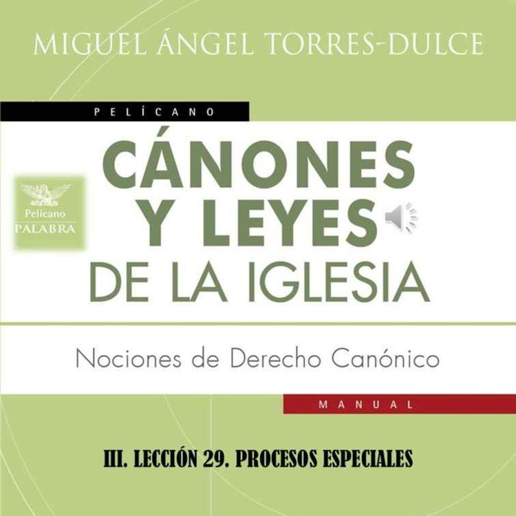 cover art for III. LECCIÓN 29. PROCESOS ESPECIALES