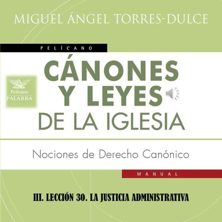 cover art for III. LECCIÓN 30. LA JUSTICIA ADMINISTRATIVA