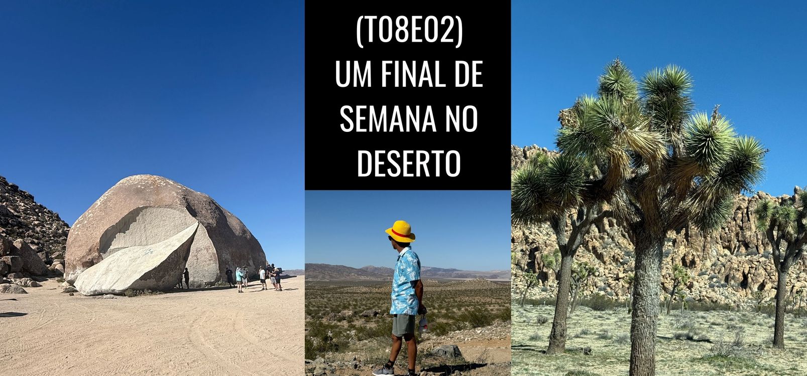 cover art for (T08E02) Um final de semana no deserto