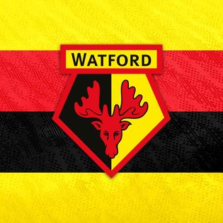 E51: Marvin Sordell | Offizieller Podcast des FC Watford