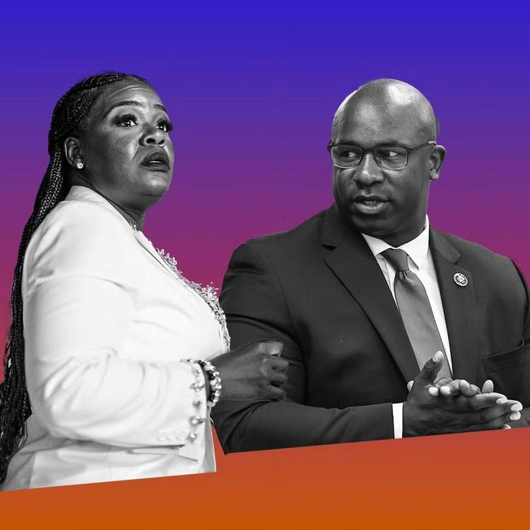 cover art for AIPAC Vs. The Squad